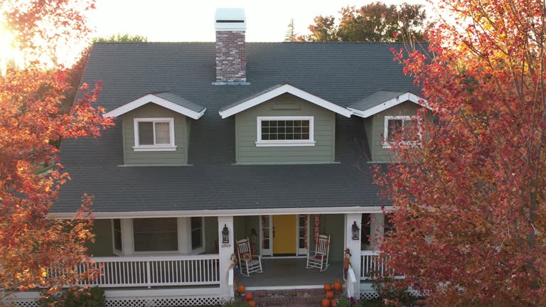 Best Sheet Metal Roofing  in Crest View Heights, NY